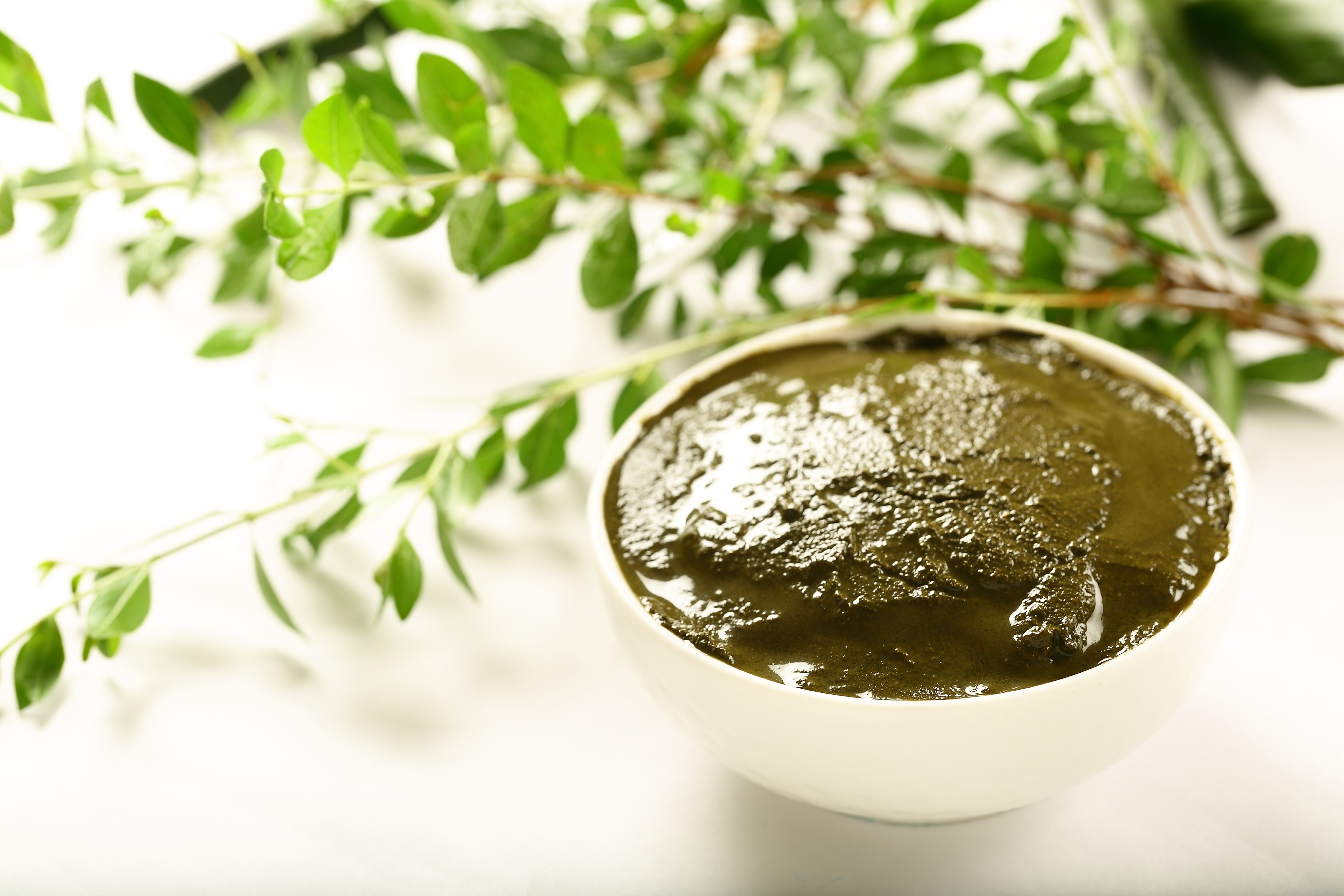 Making of Henna Paste : Masterclass